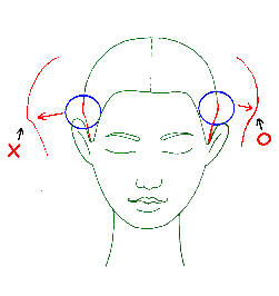 刈上げカット図前方