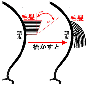 グラデーション拡大図