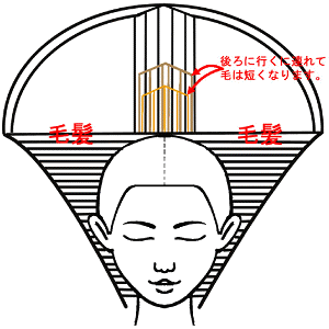 グラデーション前方