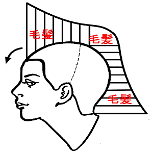 レイヤー図横