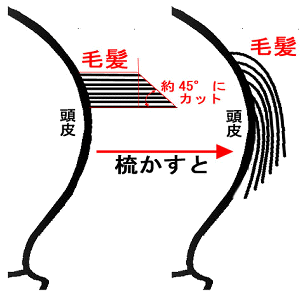 レイヤー図前方