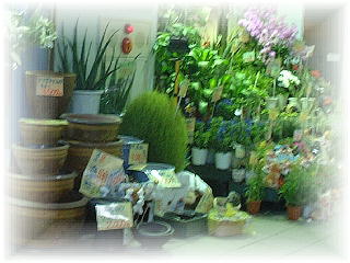 dscf9480a.jpg (127545 oCg)