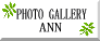 LinkToPhotoGalleryANN