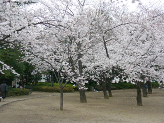 哲学堂公園