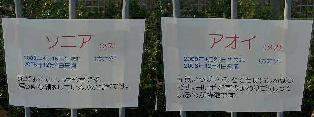 お知らせ1