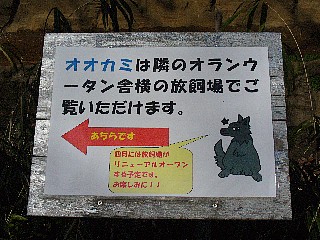 引越案内