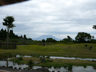 アフリカ園と桜島