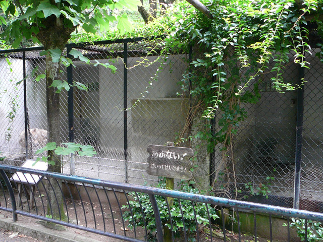 オオカミ舎全景