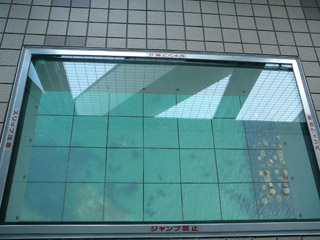 遊歩道のガラス床