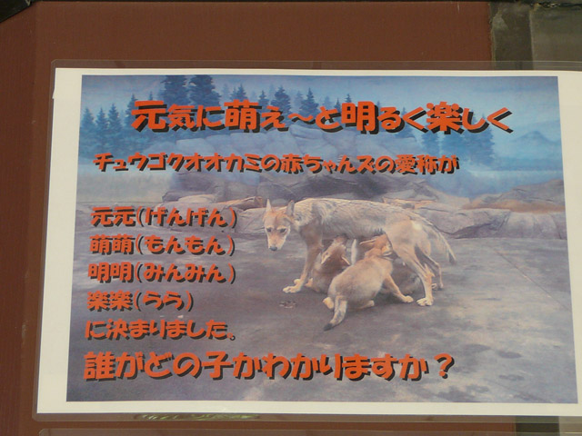 名前一覧