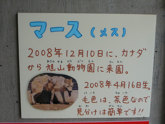 マース案内看板