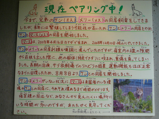 ケンとマースの同居について