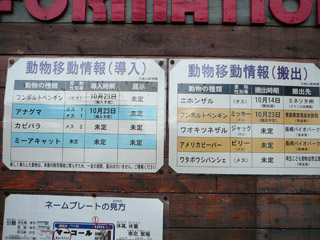 動物移動情報