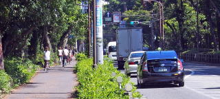 gˎwEANZX