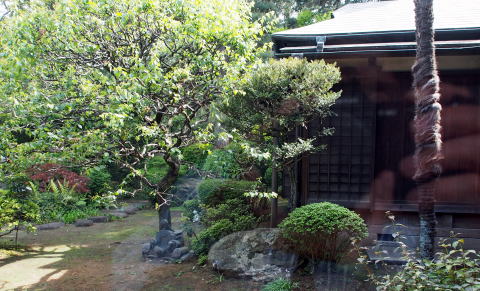 専光寺庭