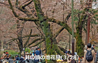 ̓̒rԌ-1-170328