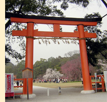 ���ΐ_��/�䏊����]��