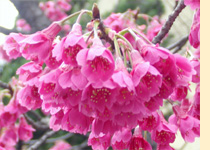 �R�{���w�Z�O/�����