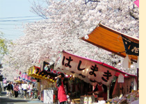 ��a���t��/��X