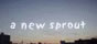 a new sprout