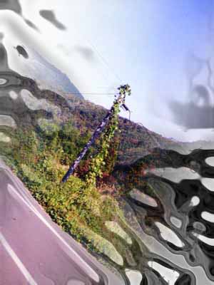 �d���ƃc�^