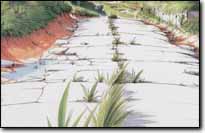 ���i[�Ђъ��ꓹ�H]