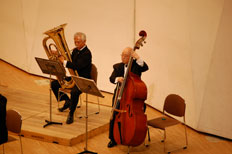 Contrabass