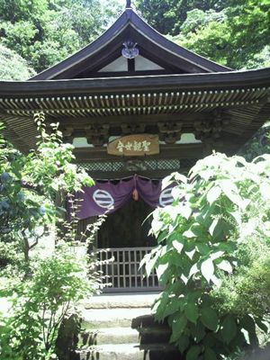 �~�o���P�P