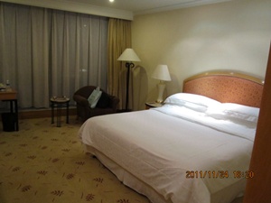 �싞�V�F���g��