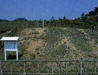 厛q