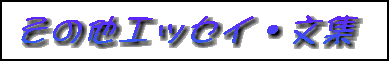 ���̑��G�b�Z�C�E���W