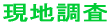 ����Ɩ�