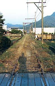 �����n��|�k�R�Ԃ̑��ނ������H