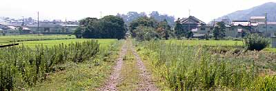 北山駅西方の林