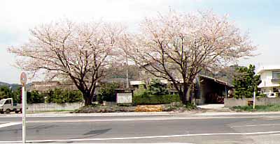 幡川駅跡1997.4.8