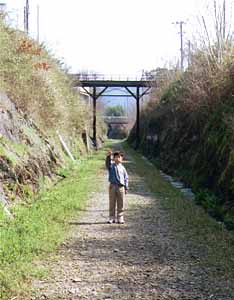 龍光寺−動木間の掘割りの中