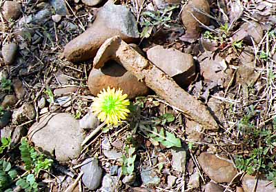 �^�C�g���C���[�W�i���B�Ƃ���ۂہj