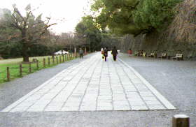 和歌山城公園の軌道敷きの石