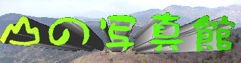 R̎ʐ^