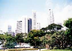 site11-2
