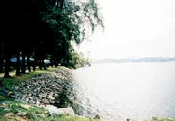 site2-2