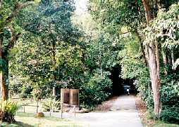 site4-2