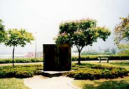 site5-1