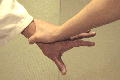 �C���[�W�ʐ^