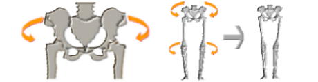 ���Ղ����������悤�ɕ��Ă݂�