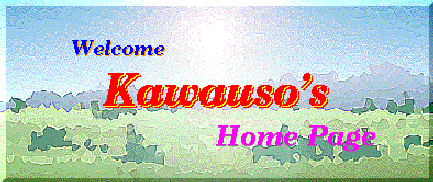 Kawauso.Logo.gif