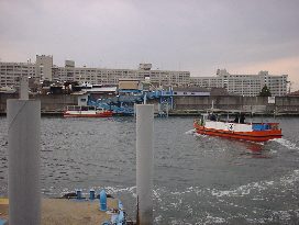 nDQ
