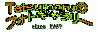 メインタイトル